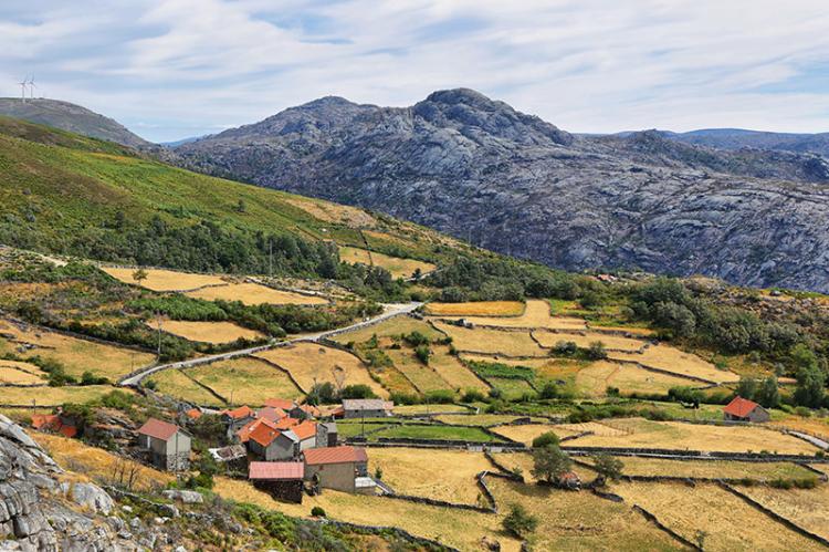 The way to Santiago de Compostela in portugal northern